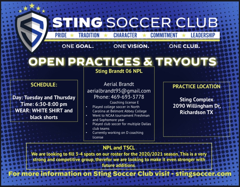 Sting Brandt 06 NPL Caa07c10