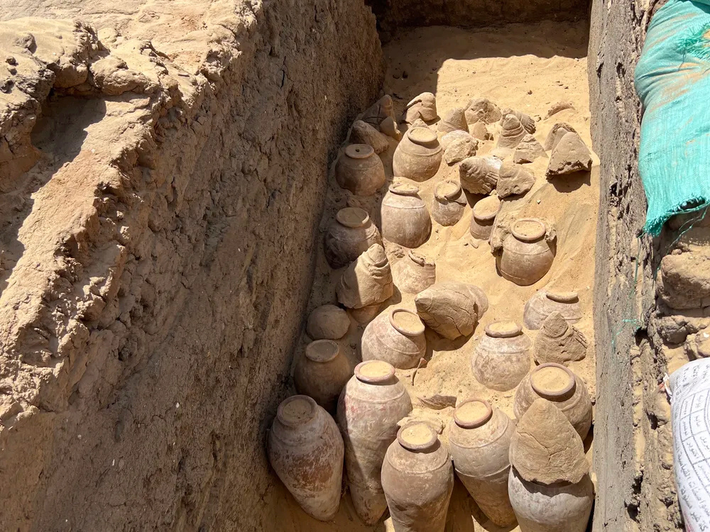 Des archéologues découvrent des restes de vin vieux de 5 000 ans dans une ancienne tombe égyptienne 0-20