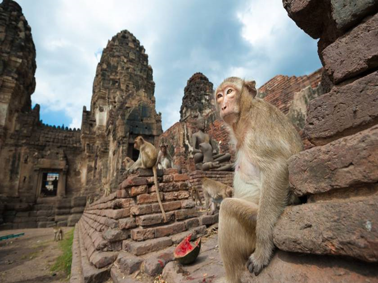 !Que faire en Thaïlande ? Les 15 endroits incontournables à visiter  1----283