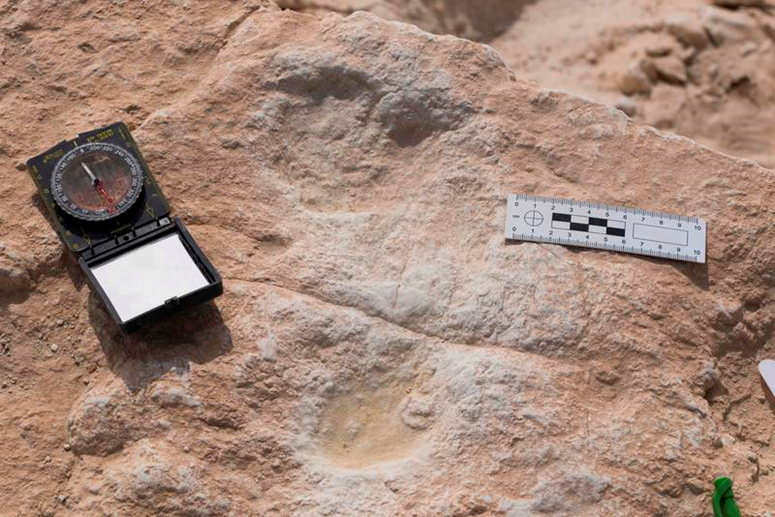  Discovery of the oldest human footprints in North Africa and the southern Mediterranean 1----941