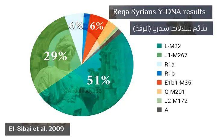 جينات عرب الرقة في  سوريا حسب دراسة ل  El-Sibia et al في سنة 2009 : 1---222