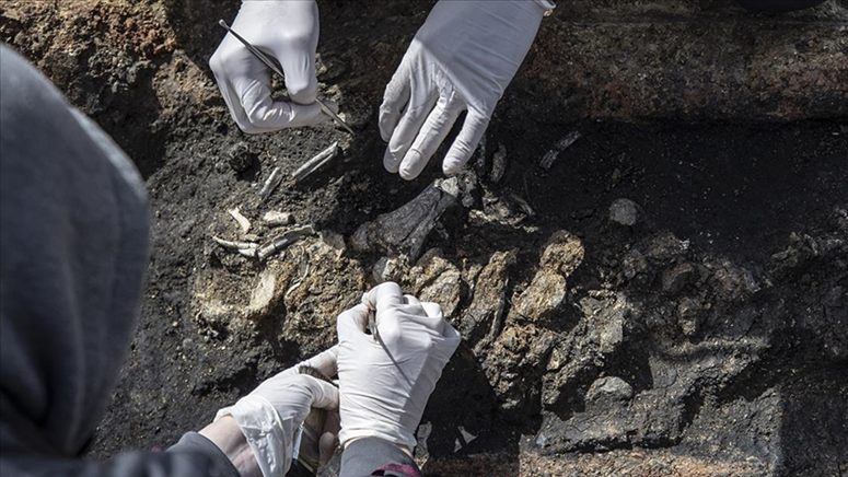باحثون يعلنون اكتشافهم في جنوب إفريقيا لأقدم مقابر ما قبل التاريخ 1--1104