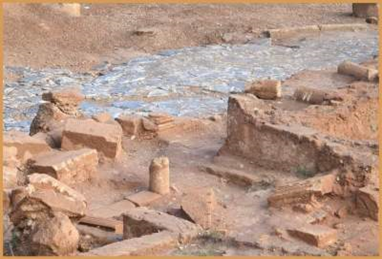 علماء آثار يعثرون على إحدى أكبر المدن الرومانية في موقع شالة بالرباط 1--1324