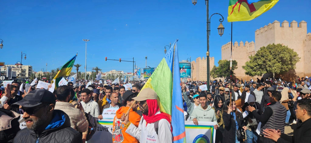 أساتذة الأمازيغية يشاركون في"مسيرة الكرامة" بالرباط 1--1329