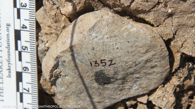 Une découverte datant de l'âge de pierre lève un mystère sur les utilisateurs d'outils 1--280