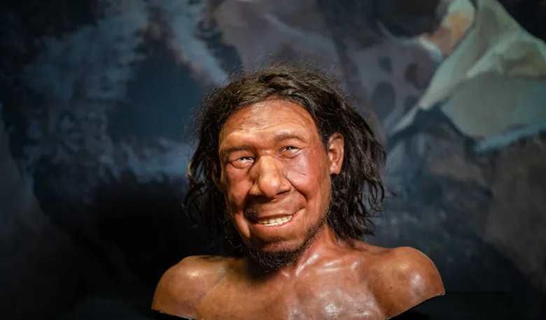 Discovery: Modern human colonization of Europe called into question by new study 1--579