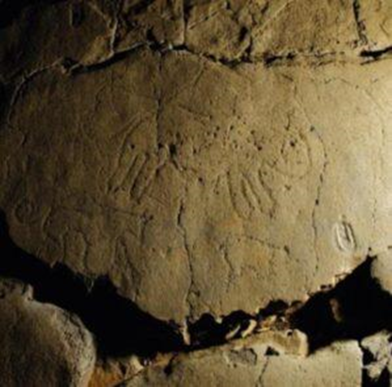 مجلة ليكسوس تواكب إكتشاف موقع للنقوش الصخرية بإقليم سيدي إفني 1--823