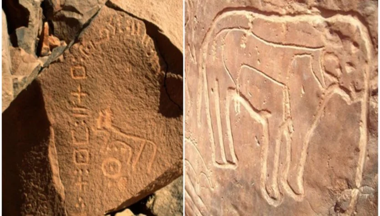 بشار: تم اكتشاف نقوش تيفيناغ تعود إلى 3000 عام 1-1029