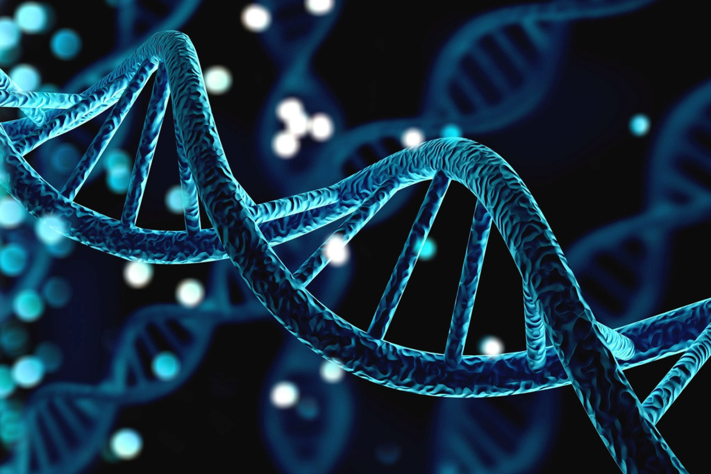 الحمض النووي: اكتشاف علمي أساسي 1-1200