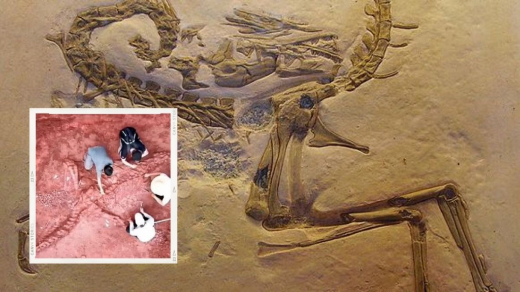 اكتشاف أحفورة ديناصور كاملة تقريبًا يعود تاريخها إلى 125 مليون سنة 1-142