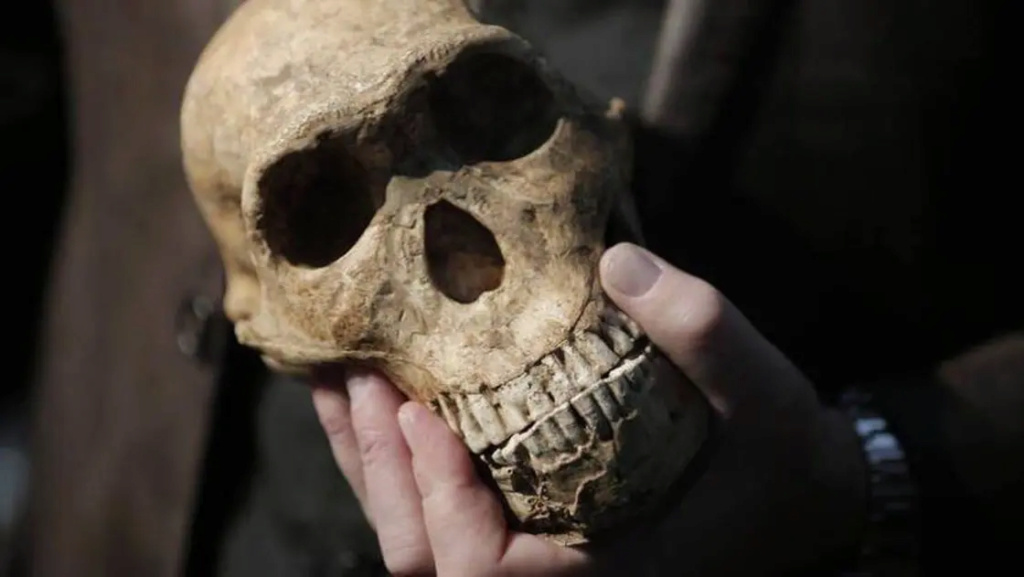 إحدى أقدم أحفوريات الإنسان العاقل أقدم بكثير مما كان يُعتقد 1-1471