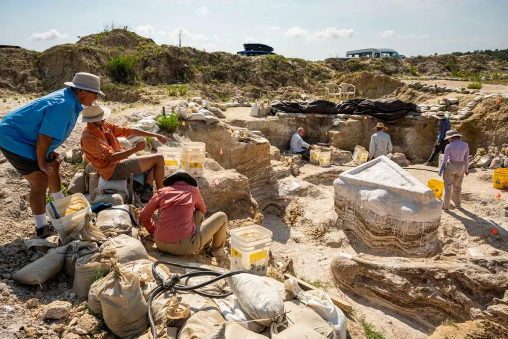 اكتشاف مقبرة أفيال عمرها مابين 5.5 مليون إلى 6 مليون عام 1-1499