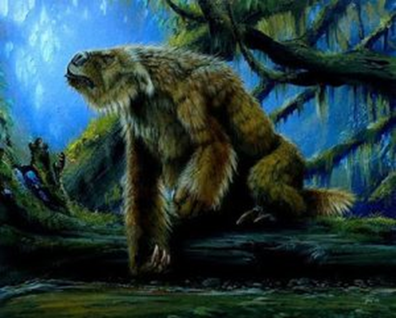 5des créatures les plus étranges qui vivaient dans les mystérieuses forêts amazoniennes 1-1505