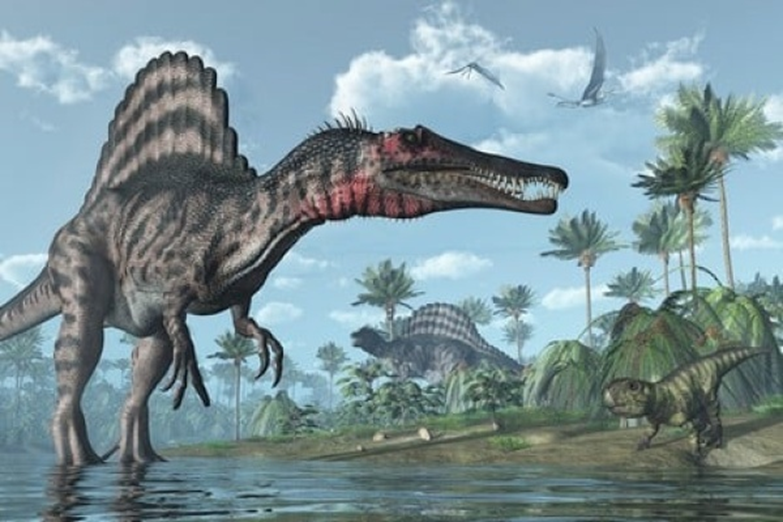 Une découverte inédite de deux nouveaux types de dinosaures à Khouribga 1-2153
