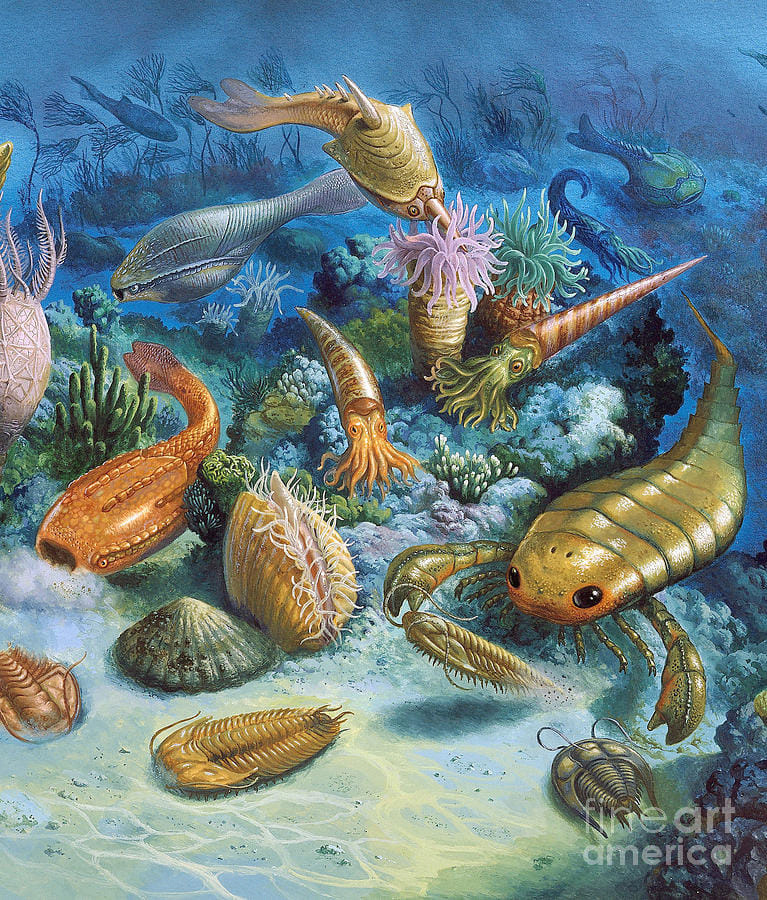 ظهور الحياة الأولى داخل المياه 1-229