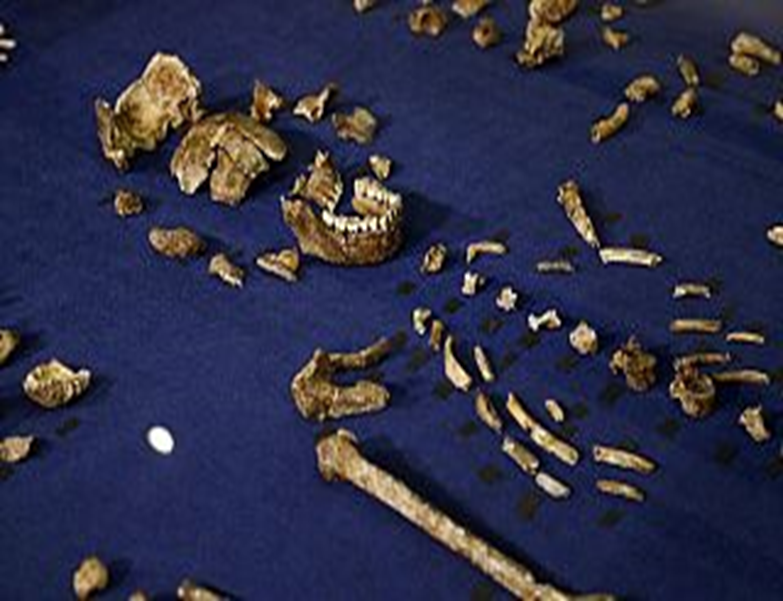 باحثون يعلنون اكتشافهم في جنوب إفريقيا لأقدم مقابر ما قبل التاريخ 1-2340