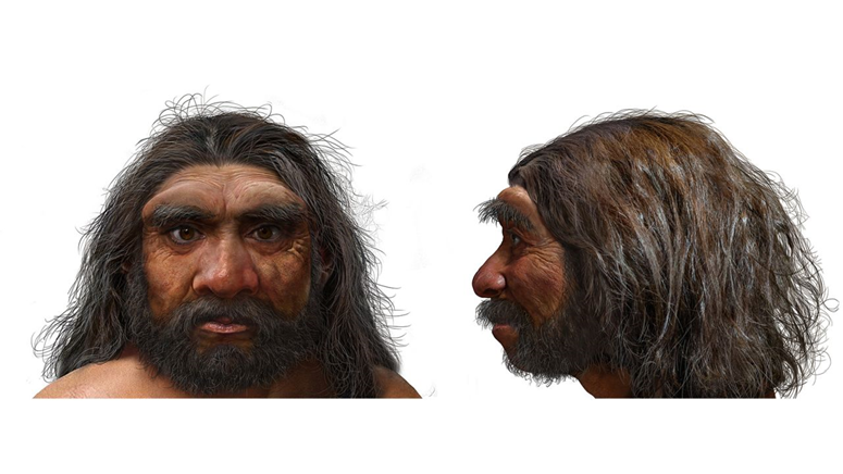 دراسة: جنس بشري جديد من عصر ما قبل التاريخ أقرب إلينا من إنسان نياندرتال 1-2343