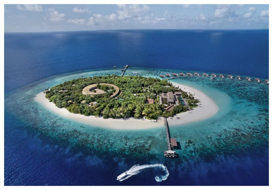 اكتشاف “واحة الحياة” المخفية في أعماق المحيط في جزر المالديف 1-2344