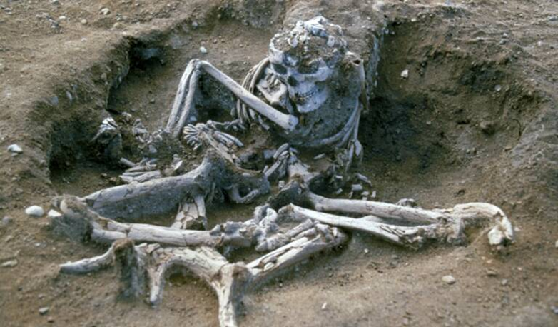 علماء الآثار "يعيدون الحياة" لصياد مات قبل 7000 عام في السويد 1-2500