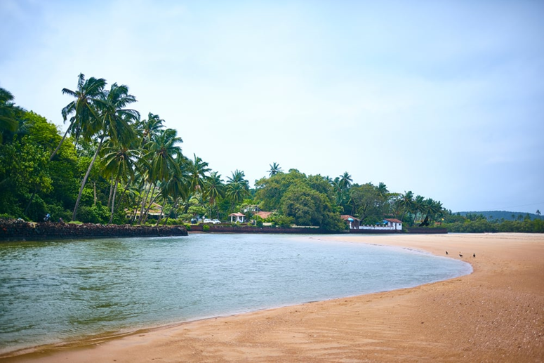 Goa est une destination riche en attractions touristiques pour tous les voyageurs 1-2612