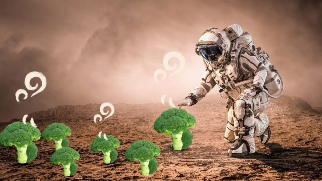 Broccoli gas could reveal the presence of alien life on other planets 1-267