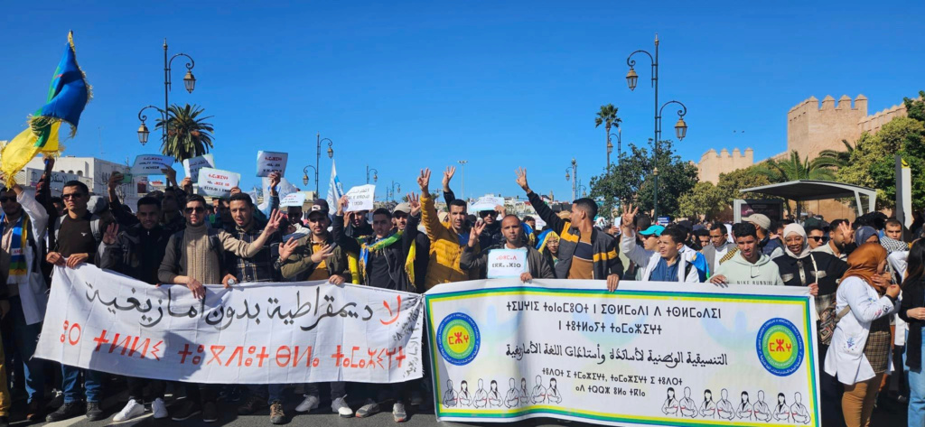 أساتذة الأمازيغية يشاركون في"مسيرة الكرامة" بالرباط 1-2718