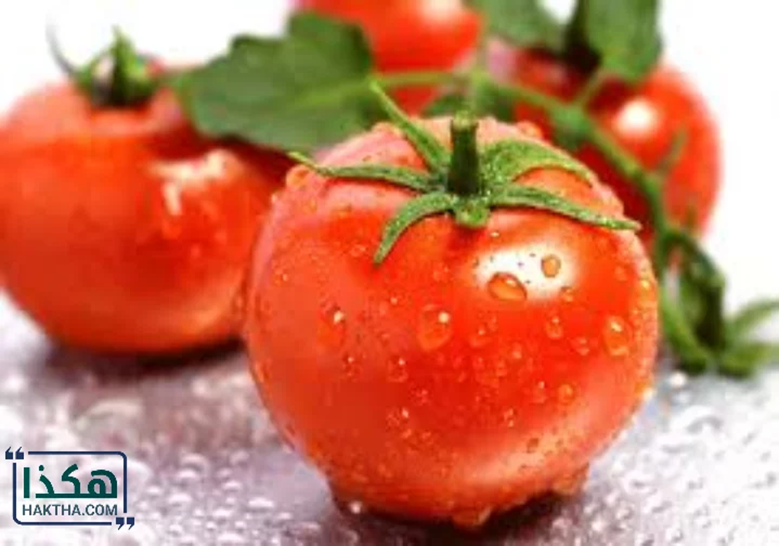 تاريخ تصنيف الطماطم... قانونياً هل هي خضار أم فاكهة؟ 1-2732