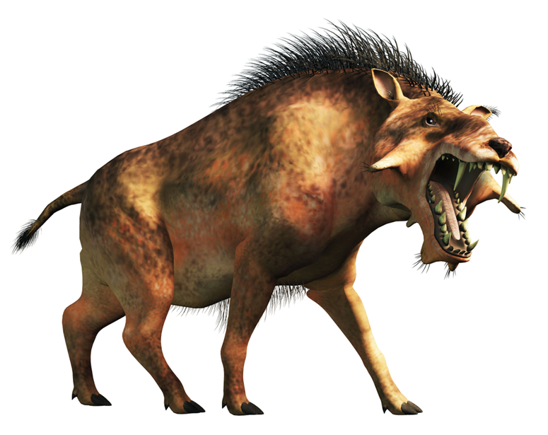?Cochons de l’enfer : quels sont ces mammifères préhistoriques à l’allure terrifiante  1-2832