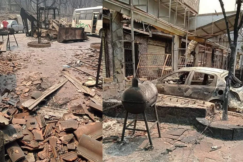 Incendies en Kabylie : une cagnotte en ligne pour aider les sinistrés 1-430