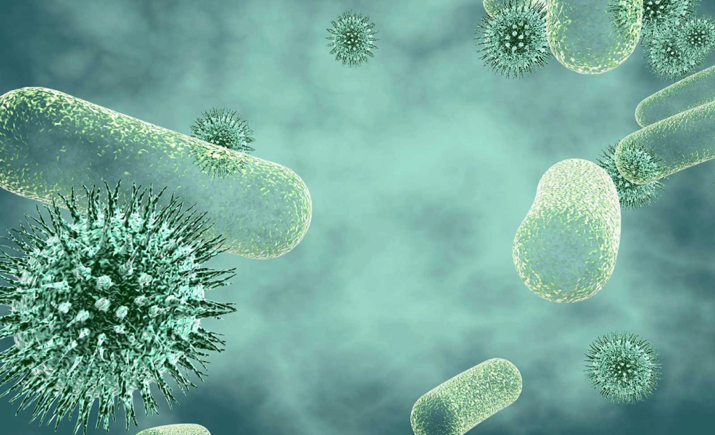 Des scientifiques découvrent le premier organisme qui mange des virus 1-522