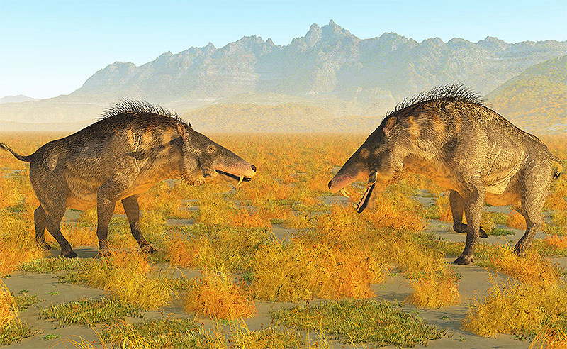 ?Cochons de l’enfer : quels sont ces mammifères préhistoriques à l’allure terrifiante  1-660