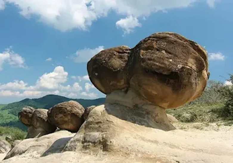 À la découverte de mystérieuses roches vivantes capables de croître et de se déplacer 1-_bmp21