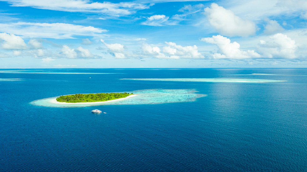 اكتشاف “واحة الحياة” المخفية في أعماق المحيط في جزر المالديف 11052