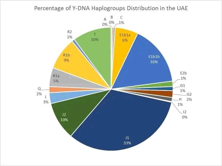 تنوع السلالات الأبوية لدى الإماراتيين بشبه الجزيرة العربية 11224
