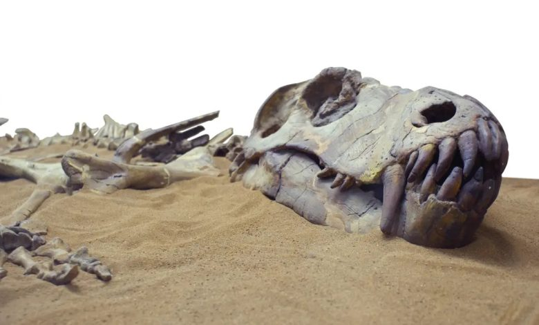 اكتشاف زاحف منقرض عايش الديناصورات قبل 150 مليون سنة 11261