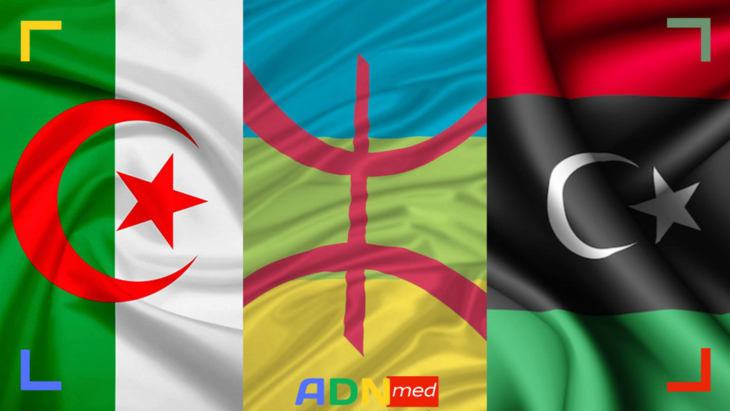 ضغوط جزائرية على ليبيا فيما يتعلق بالمسألة الأمازيغية؟ 11869