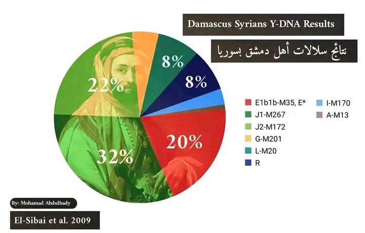  جينات سكان دمشق  11900