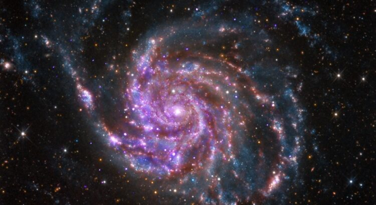 ? A supernova has exploded so close to Earth that it is visible through a telescope, but for how long 12032