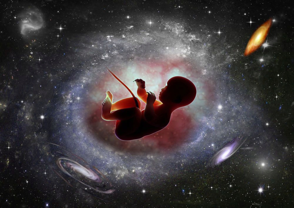 هل يمكن الحمل والولادة في الفضاء الخارجي؟ 1208