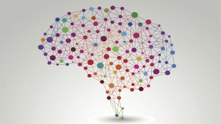Des ingénieurs en biomédecine ont connecté un cerveau humain à Internet 12290