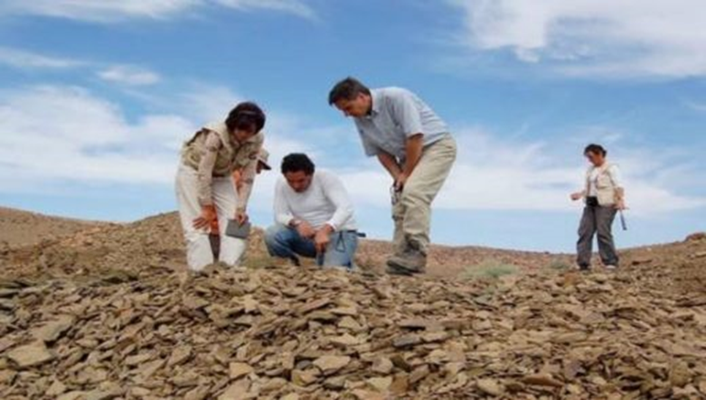 اكتشاف أثر أقدم حيوان مائي في العالم بالمغرب 12386