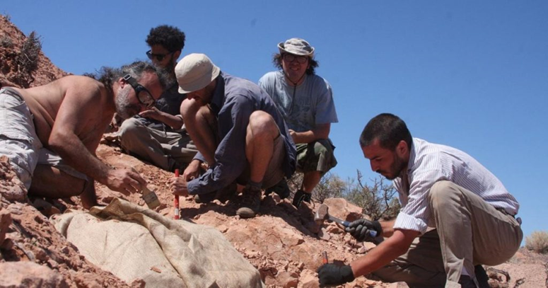 اكتشاف ديناصور صغير عمره 100 مليون عام 12633