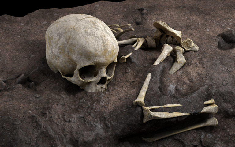 The oldest human remains in history are in Africa 13-865