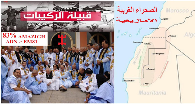 (الصحراء الغربية الامازيغية) 1502