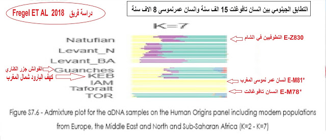 شمال افريقيا هو اصل اول حضارة في الشرق الاوسط(النطوفيين) 1636