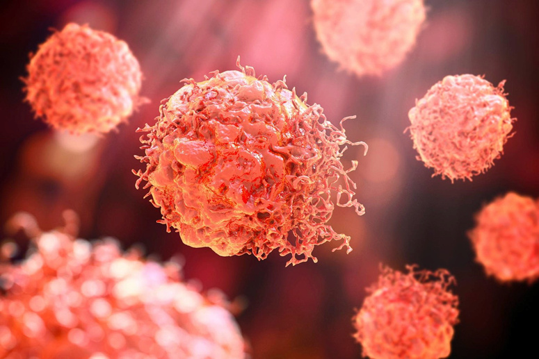 إزالة الكروموسومات الزائدة في الخلايا السرطانية يمنع نمو الأورام الخبيثة 1831