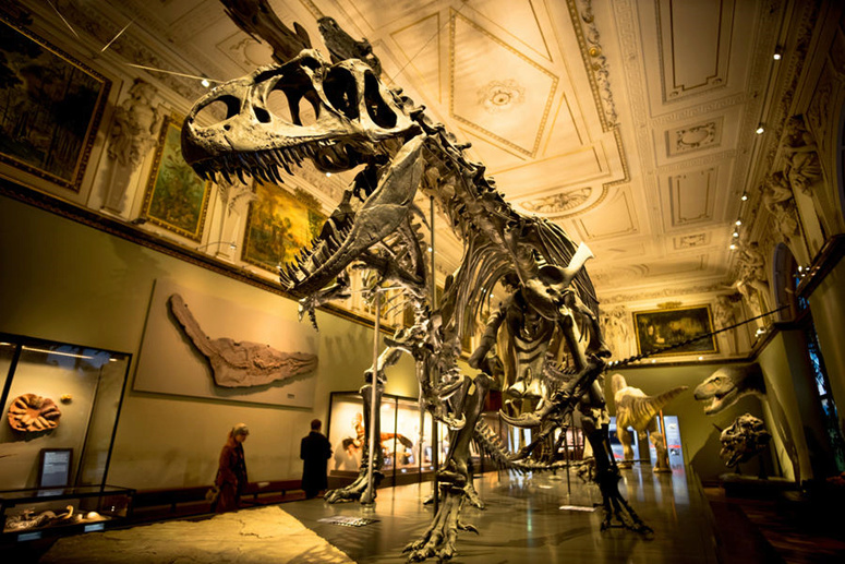 Fossil révèle un dinosaure au combat avec un animal ressemblant à un blaireau il y a 125 millions d'années 1874
