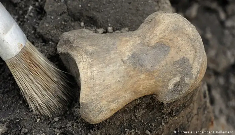 العثور على آثار وجود الإنسان في الأمريكتين منذ العصر الجليدي 1901