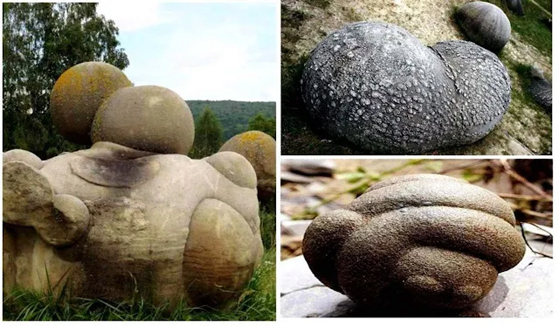 À la découverte de mystérieuses roches vivantes capables de croître et de se déplacer 1_bmp31