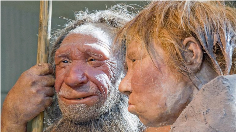 دراسة: انقراض إنسان "نياندرتال" حدث في زمن أقدم ممّا يعتقد 2011